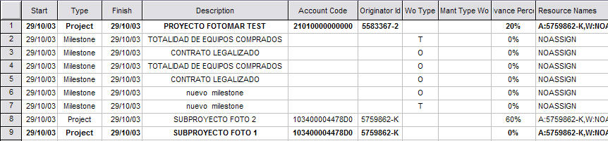 MS Project columns mapped to Ellipse fields